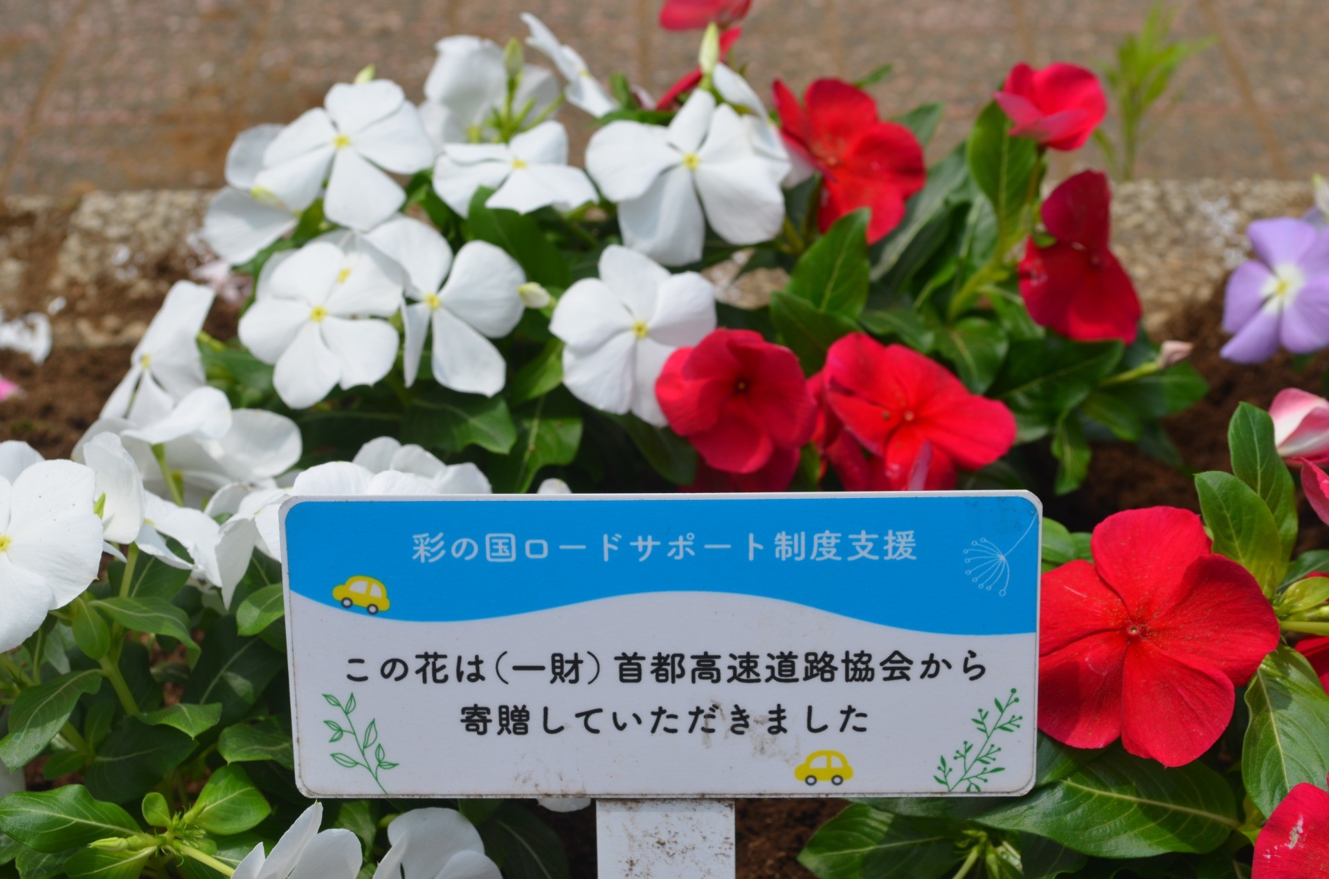 7cc69daae71f47c26871d6845b3f76b2-1753665330.jpg